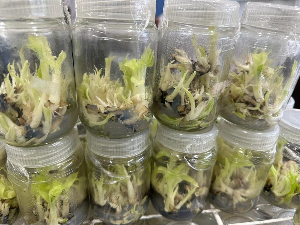 PHOTO-2024-01-23-12-40-57